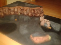/album/fotogaleria-maquetas/a2011-11-27-21-30-01-jpg/